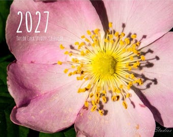 2027 Taylor Carr Studios 12-month Calendar