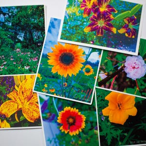 Autocollants mats imperméables nature fleurs assorties