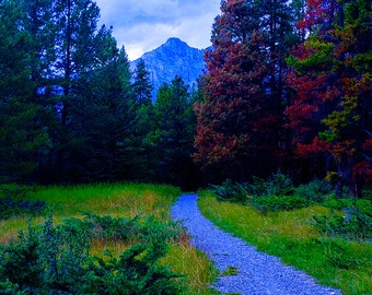 Tunnel Mountain Campground Loop Winding Path Banff National Park Rocky Mountain Range Photograph Wall Art Print