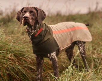 Bespoke All Weather Custom made fleece lined dog coat with waterproof Caramel back and softshell snood & reflective tape Vizsla pointer GSP