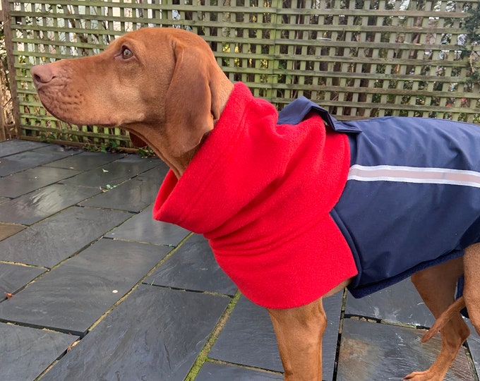 Beautifully crafted handmade dog coats by DashwoodDogCoats