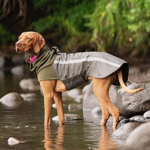 Weimaraner Jacket Etsy UK