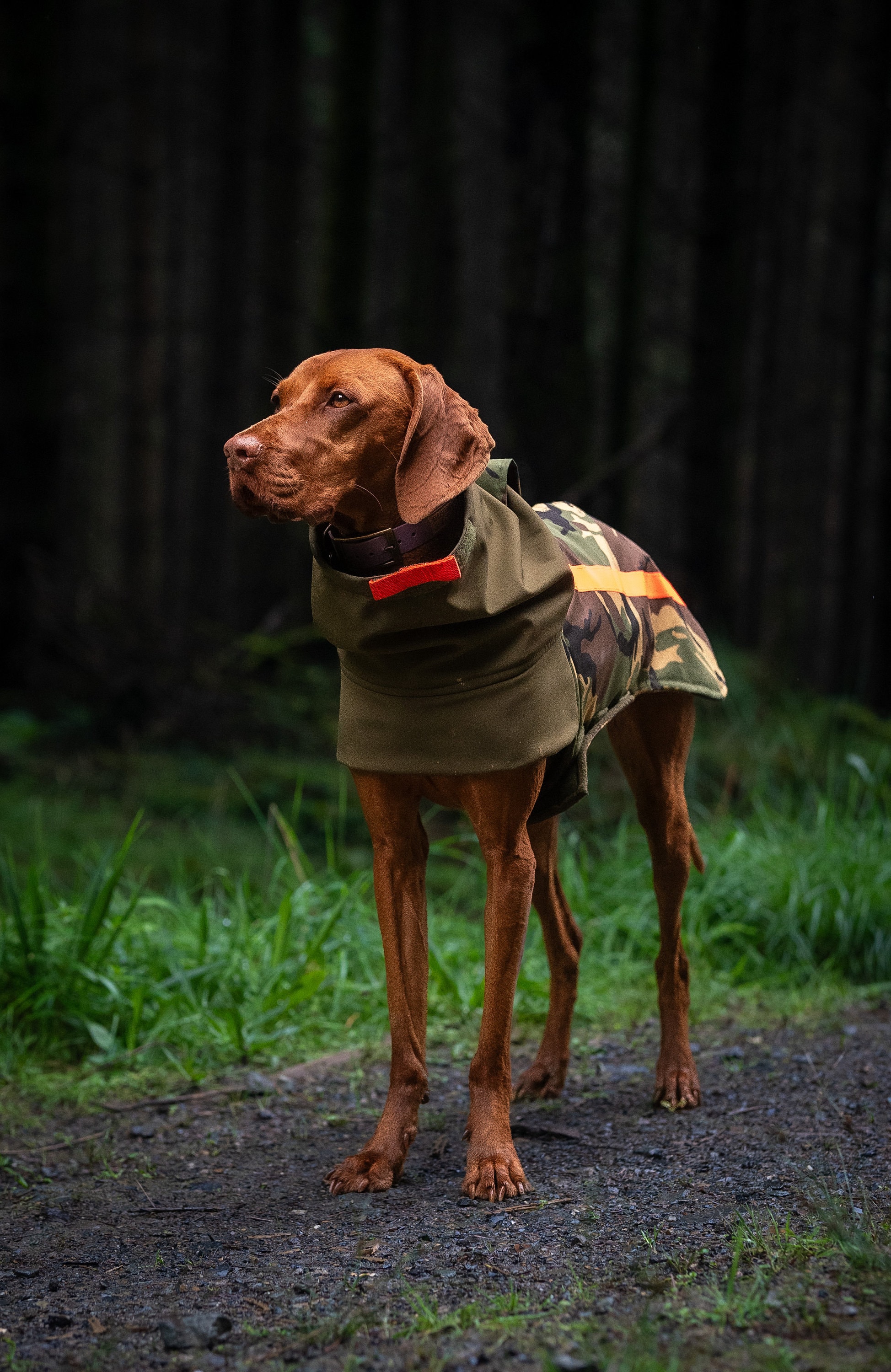 Bespoke All Weather Custom Made Fleece Lined Dog Coat With Waterproof Camo Print Back Olive Softshell Reflective Tape Vizsla Pointer GSP Etsy Canada