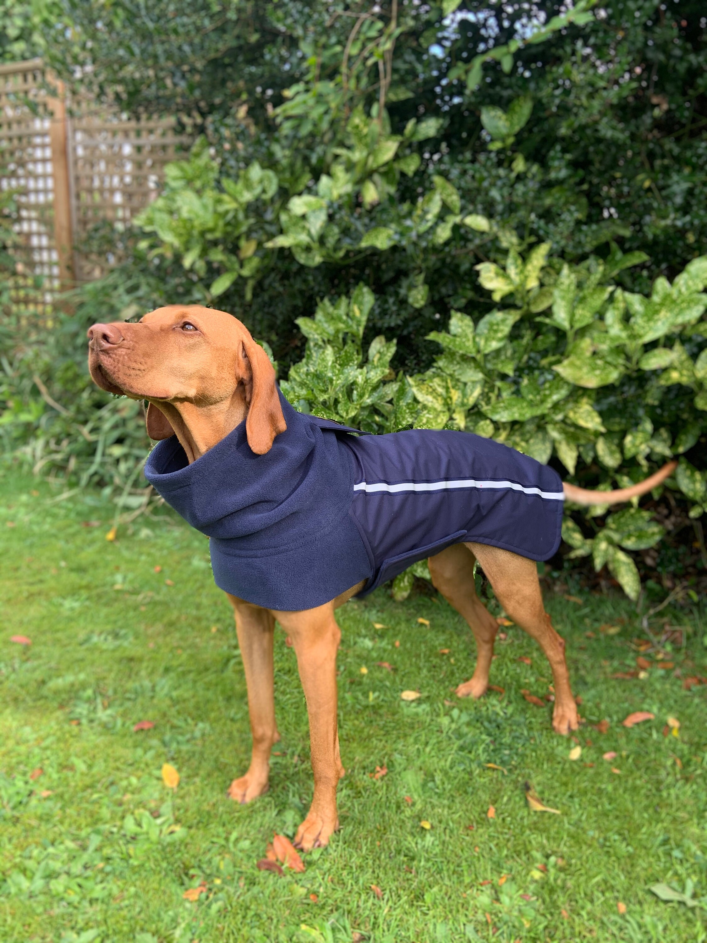 Custom made warm fleece lined dog coat warm winter raincoat Etsy