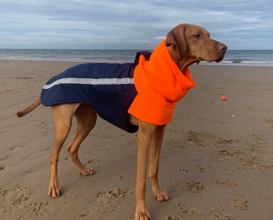 Custom Made Fleece Lined Dog Coat Navy & High Viz Orange Warm Etsy UK