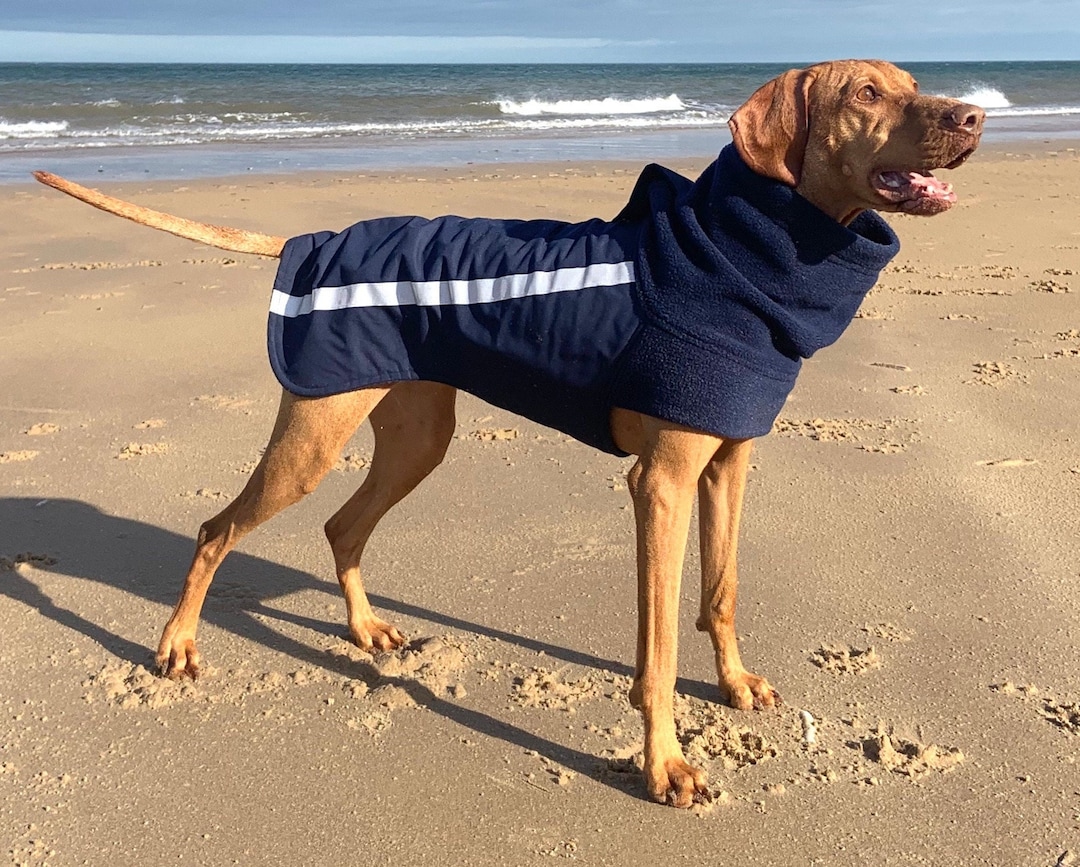 Custom Made Warm Fleece Lined Dog Coat Warm Winter Raincoat Vizsla