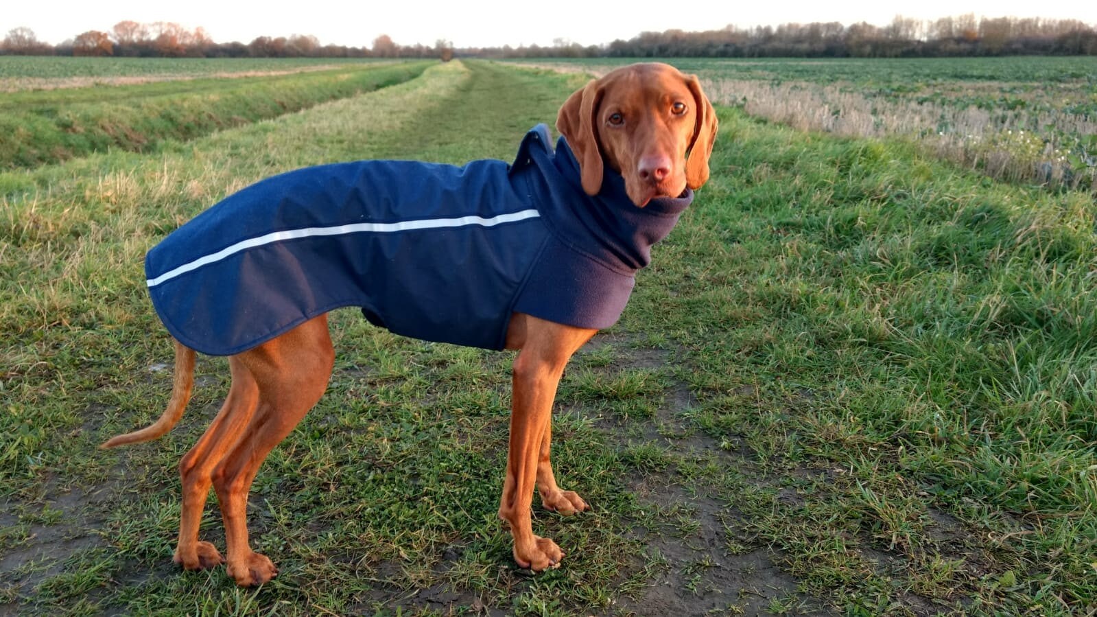 Custom made warm fleece lined dog coat warm winter raincoat Etsy