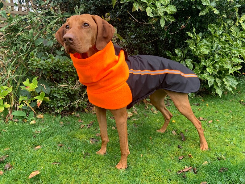 Custom made fleece lined dog coat black & high viz orange warm Etsy