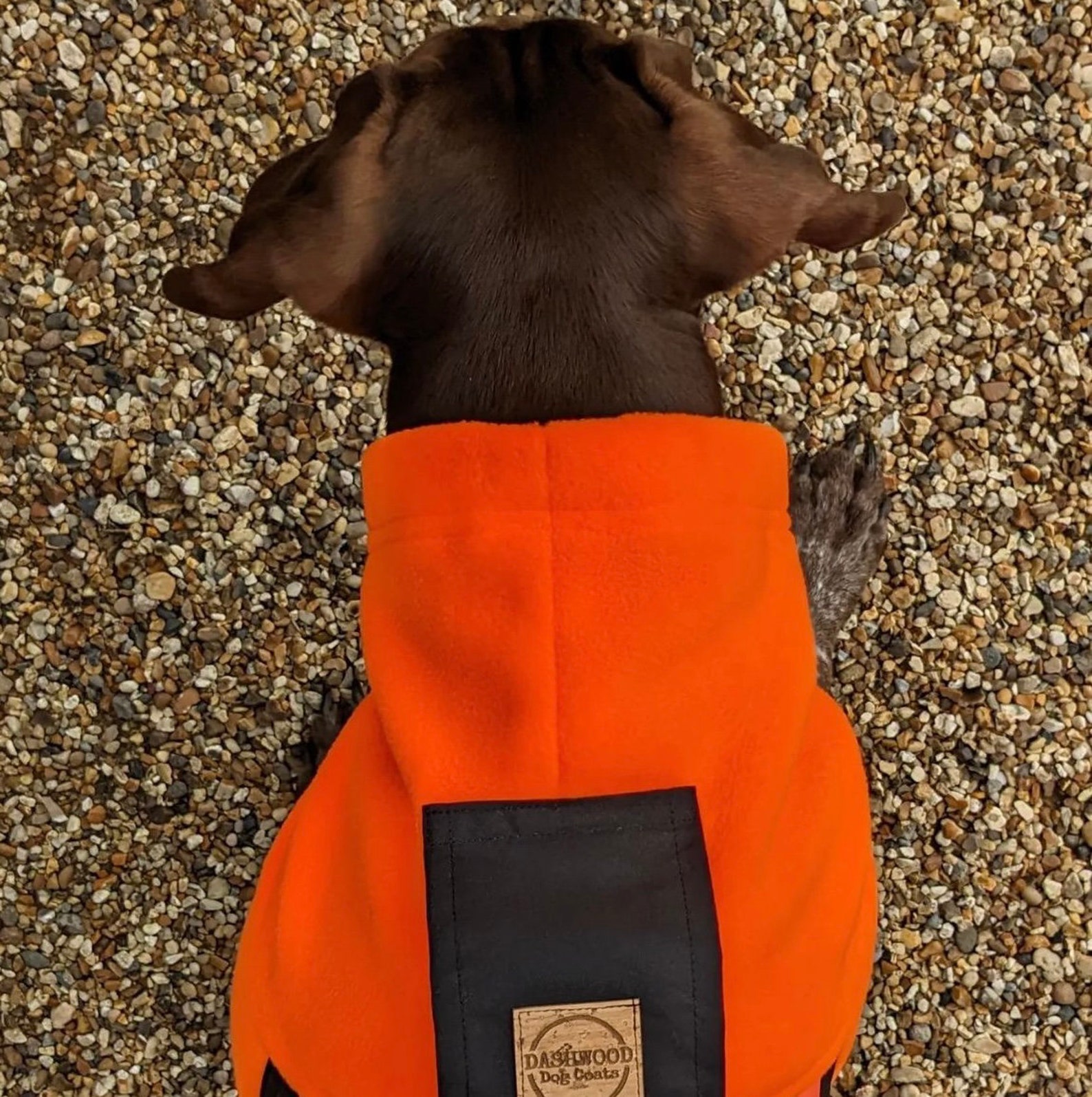 Custom Made Fleece Lined Dog Coat Black & High Viz Orange Warm Etsy UK