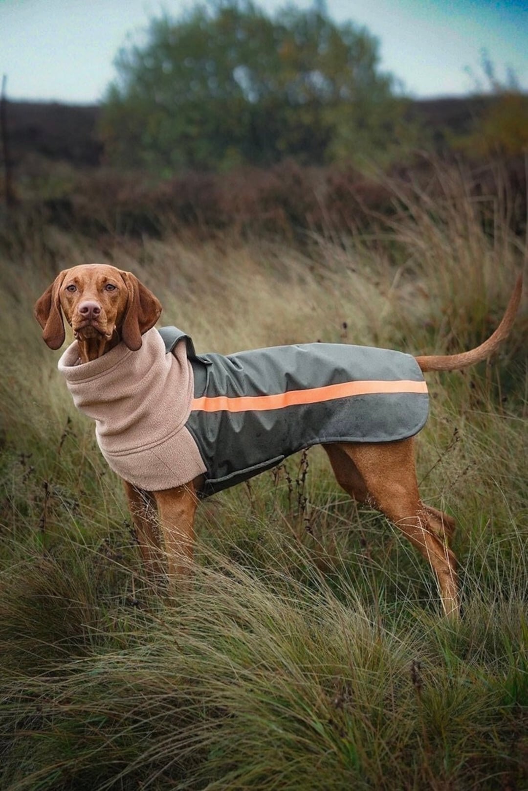 Custom Made Fleece Lined Dog Coat Olive Green Warm Waterproof Back With