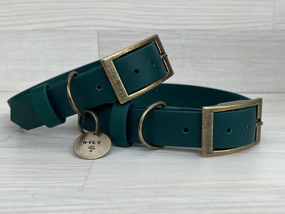 buntes halsband Buntes Kettenhalsband langgliedrig groß Sprenger