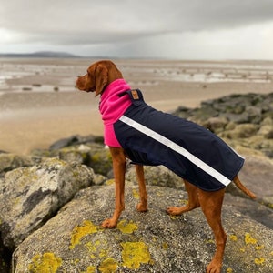 Custom made fleece lined dog coat navy blue & pink warm winter coat harness or collar Vizsla GSP labrador Pointer Dachshund Dalmatian image 1