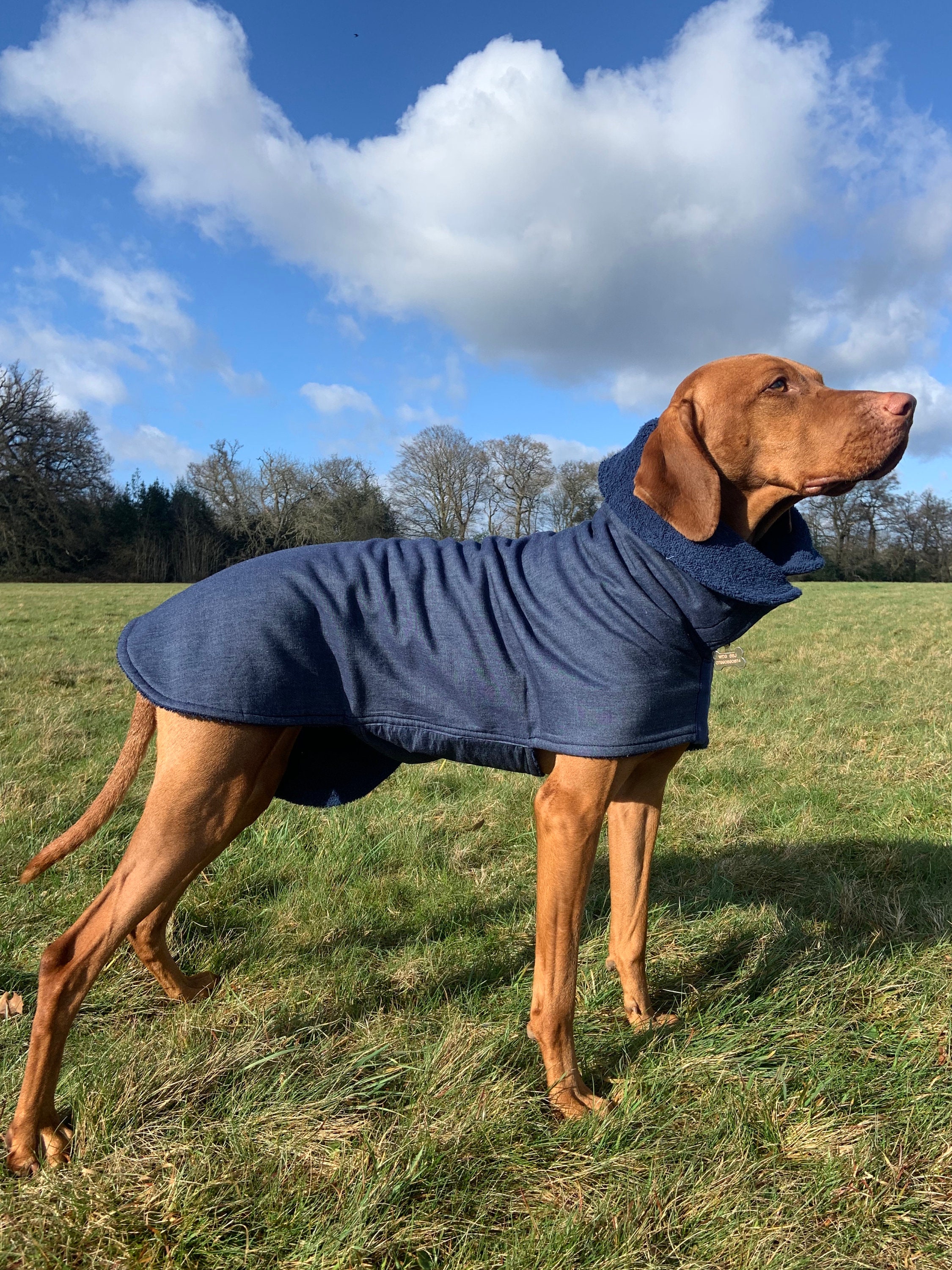 Dog Drying Coat Antisnag Double Layer Towelling Cotton Blue Etsy