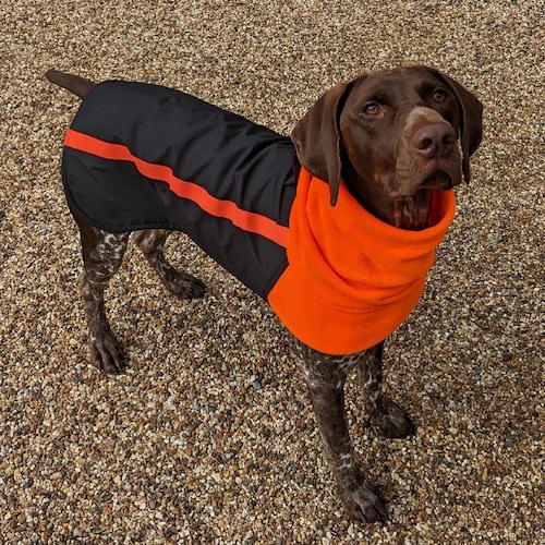 Custom Made Fleece Lined Dog Coat Navy Blue & Pink Warm Winter Etsy UK
