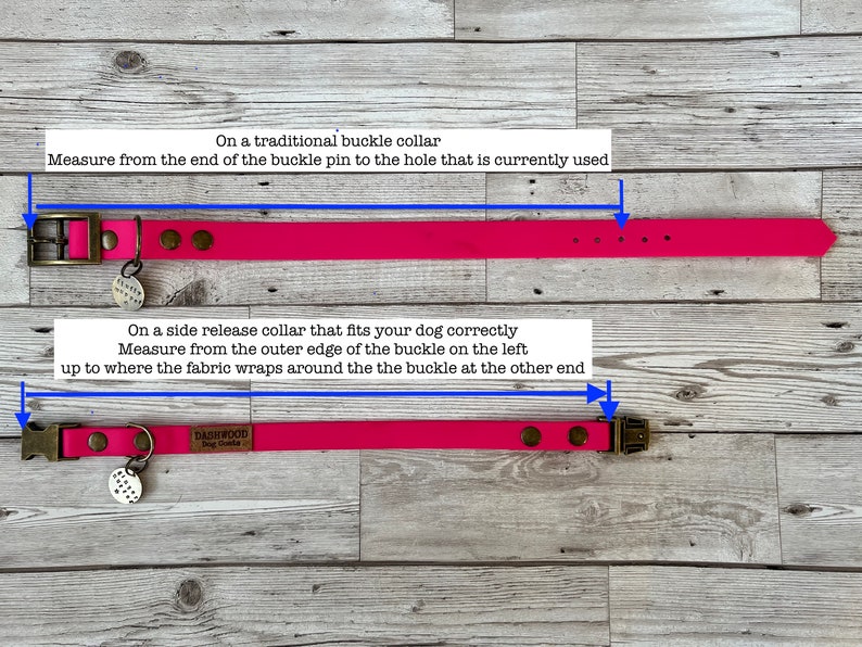 The Double Keeper One Bespoke Waterproof Biothane Dog Collar includes personalised hand-stamped tag image 4