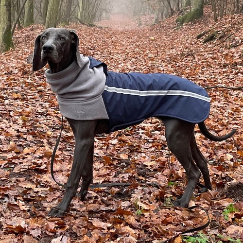 Custom Made Fleece Lined Dog Coat Navy & Grey Warm Winter Coat Etsy UK