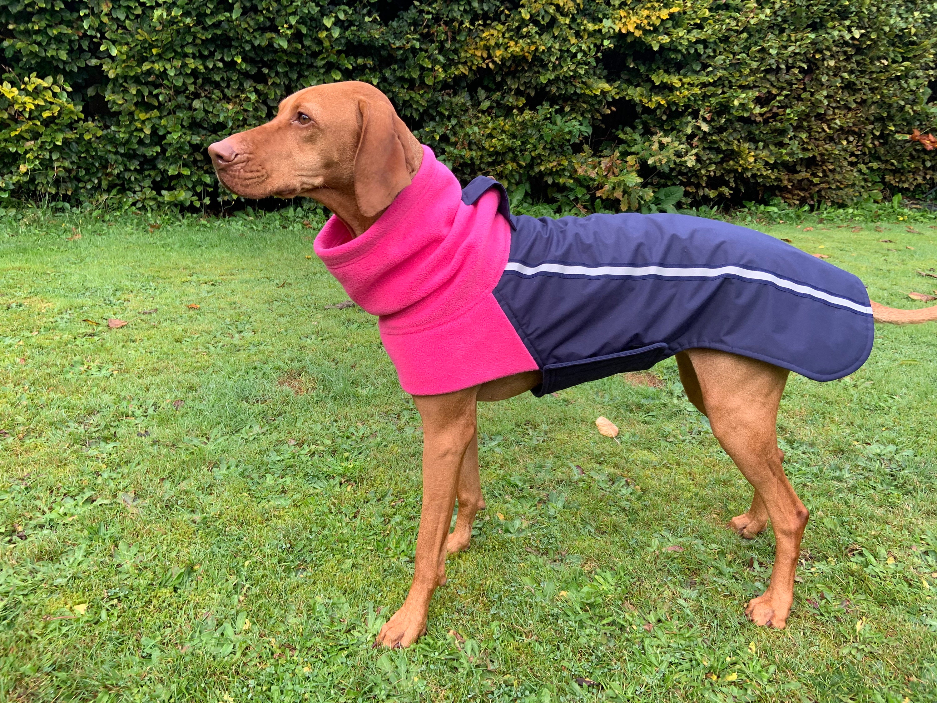 fleece lined dog coat