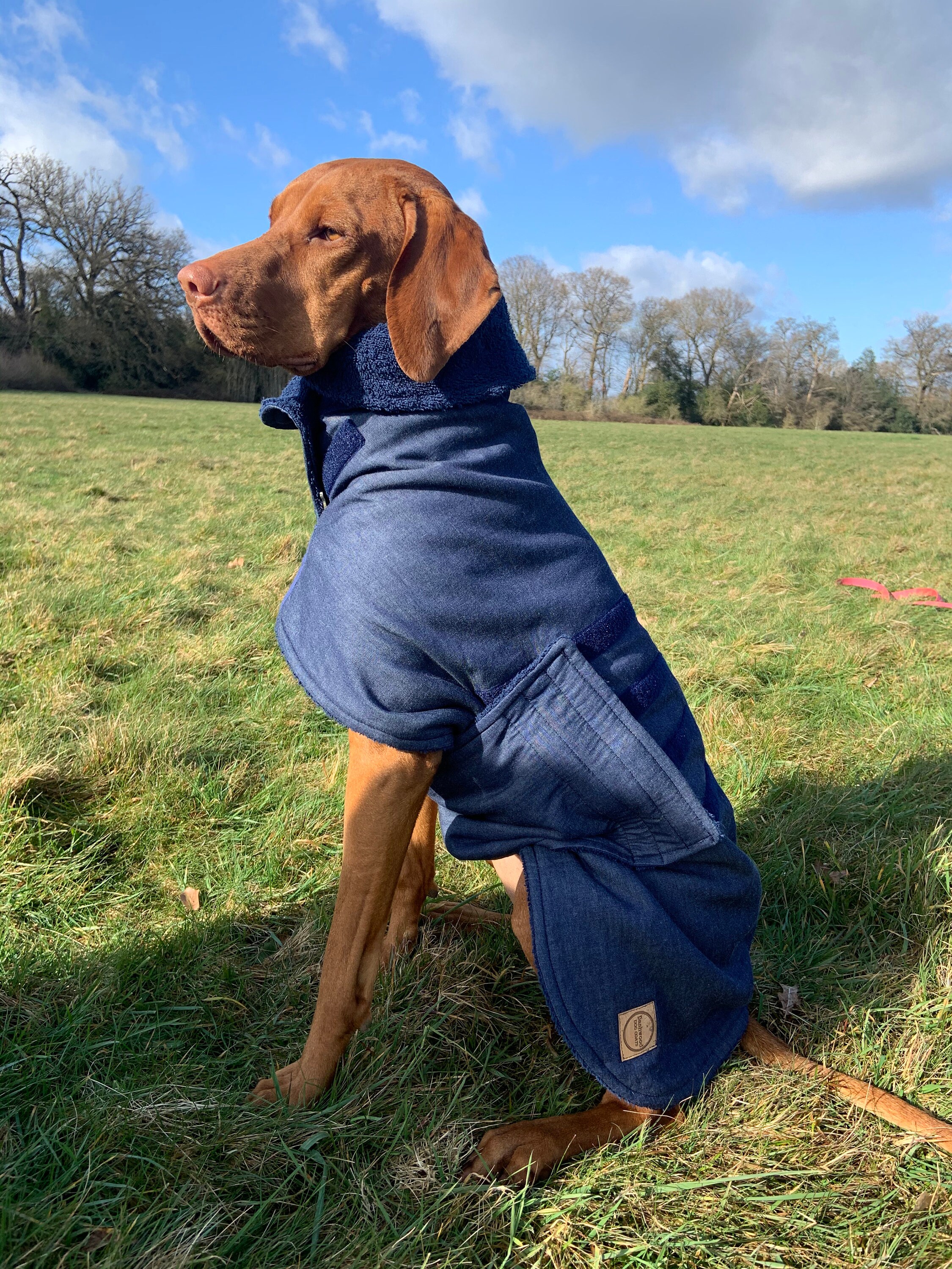 Dog drying coat antisnag double layer towelling cotton blue Etsy