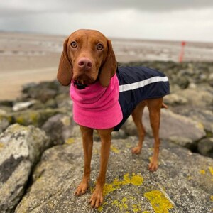 Custom made fleece lined dog coat navy blue & pink warm winter coat harness or collar Vizsla GSP labrador Pointer Dachshund Dalmatian image 2