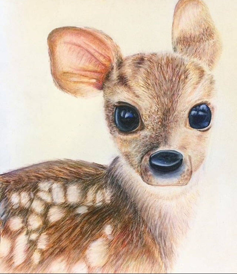 Original Deer Colored Pencil Drawing | Etsy