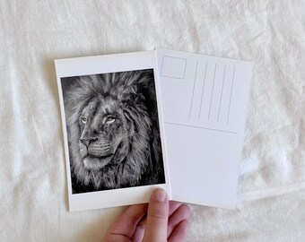 Black and White Lion Painting Postcard