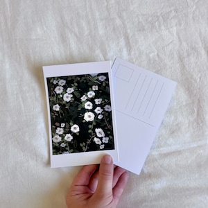 May include: A postcard with a photograph of white flowers on a dark background. The back of the postcard has a blank space for writing a message and a section for an address.