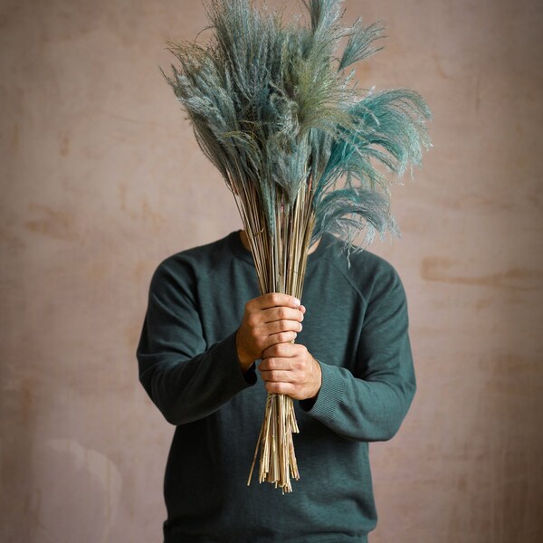 Dried Stipa Feather Teal