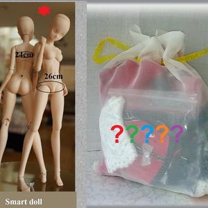 スマートドール 福袋 謎の袋（購入者への愛を込めて）