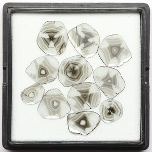 3.59 Ct. - 11 PCs Natural Trapiche Diamond, Loose Slice Cut Diamond, Rare Natural Diamond for Custom Jewelry, Unique Diamond Collector Gift