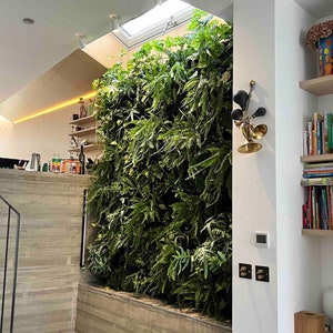 Living Wall Planter Troughs for a Vertical Garden Indoor or Outdoor / Internal or External