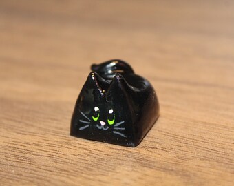 Tasto gatto nero