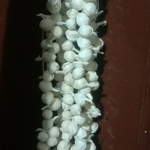 Pu&ograve; includere: Una lunga catena di ornamenti rotondi e bianchi, infilati su un filo bianco. Gli ornamenti sono appesi a una superficie marrone.