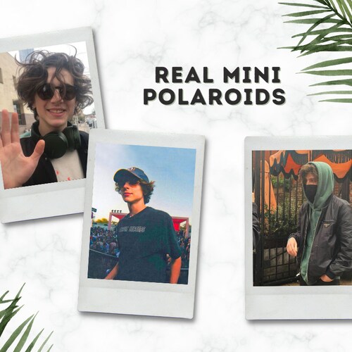 Timothee Chalamet [Custom] Polaroids || Real Instax Mini Polaroids || Wall Pictures || Custom Aesthetic Prints