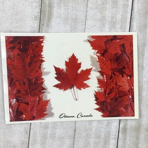 Cartes postales d'Ottawa, de l'Ontario et du Québec/voyages, tourisme, tourisme, souvenir, souvenirs, collecte de fonds 10 % pour le CHEO