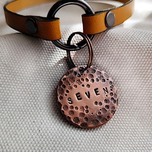 Carte d'identité pour animal de compagnie en cuivre rustique, grande médaille épaisse pour chien, carte d'identité d'animal personnalisée en cuivre pur, breloque porte-clés texture martelée, médaille circulaire couleur or rose haut de gamme