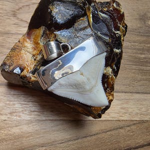 May include: A polished silver pendant with a shark tooth design, a small silver cup, and a large, dark amber-colored stone. The shark tooth is white with serrated edges. The stone has a rough, natural texture.