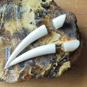 Pode incluir: Dois brincos brancos, curvos, com forma de osso, com postes de prata. Os brincos são exibidos em uma peça de pedra de cor âmbar.