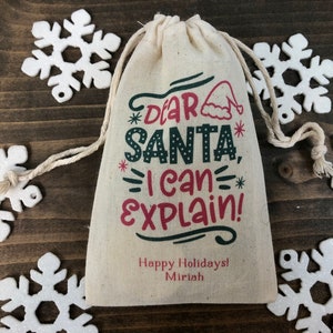 Set of 10 Personalized Christmas Cooke Favor Bags / Holiday Gift Bags / Santa, I Can Explain (Item 2407A)