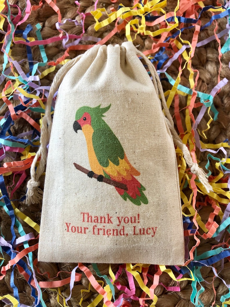 Hawaiian Luau Tropical Bird Party Favor Bags Item 1839A Assorted Parrot Party Favor Set of 10