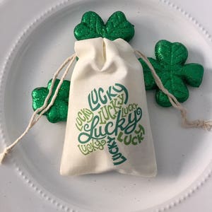 Set of 10 St. Patrick's Day Party Favor Bags "Lucky" Shamrock (Item 1173A)
