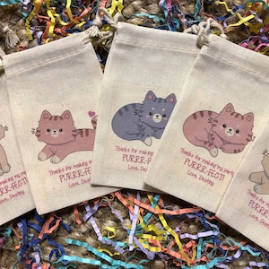 Set of 10 Cat / Kitten Assortment Party Favor Bags (Item 2106A)