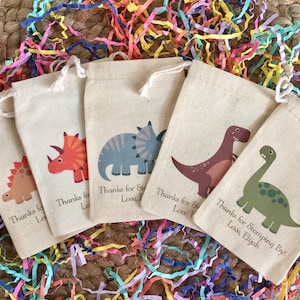 Set of 10 Dinosaur Party Favor Bags - Personalized Favors (Item 1664A)