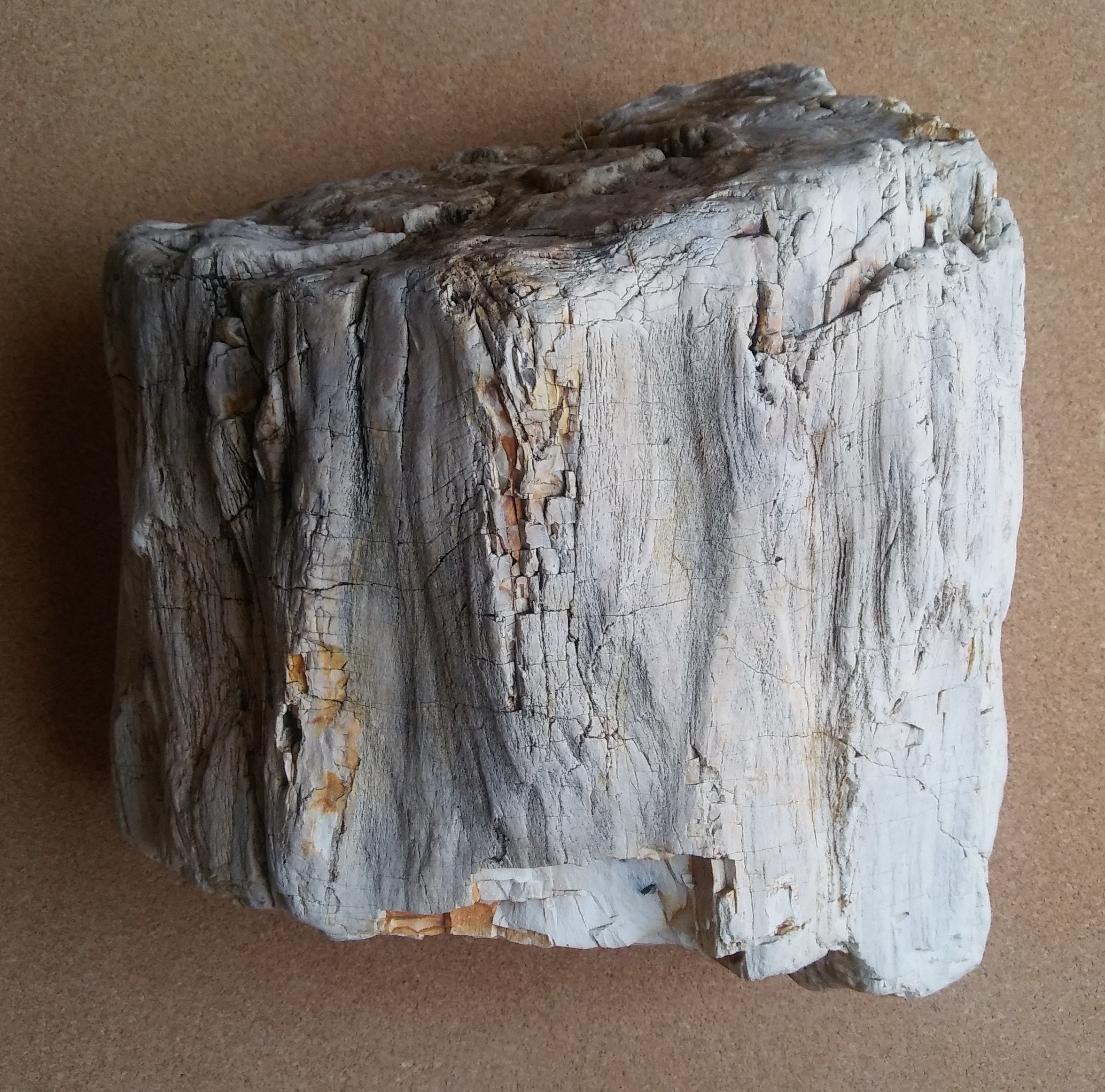 Petrified Wood Aquarium Decor Fish Tank Aquascape Shrimp Etsy UK