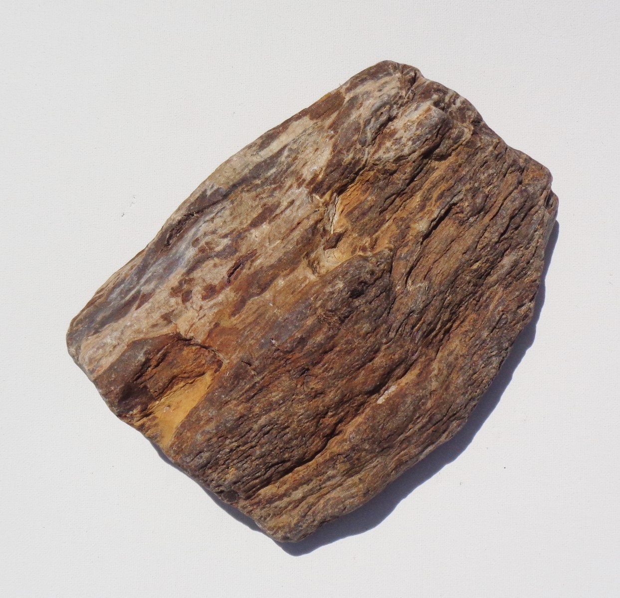 Petrified wood aquarium decor fish tank aquascape shrimp Etsy