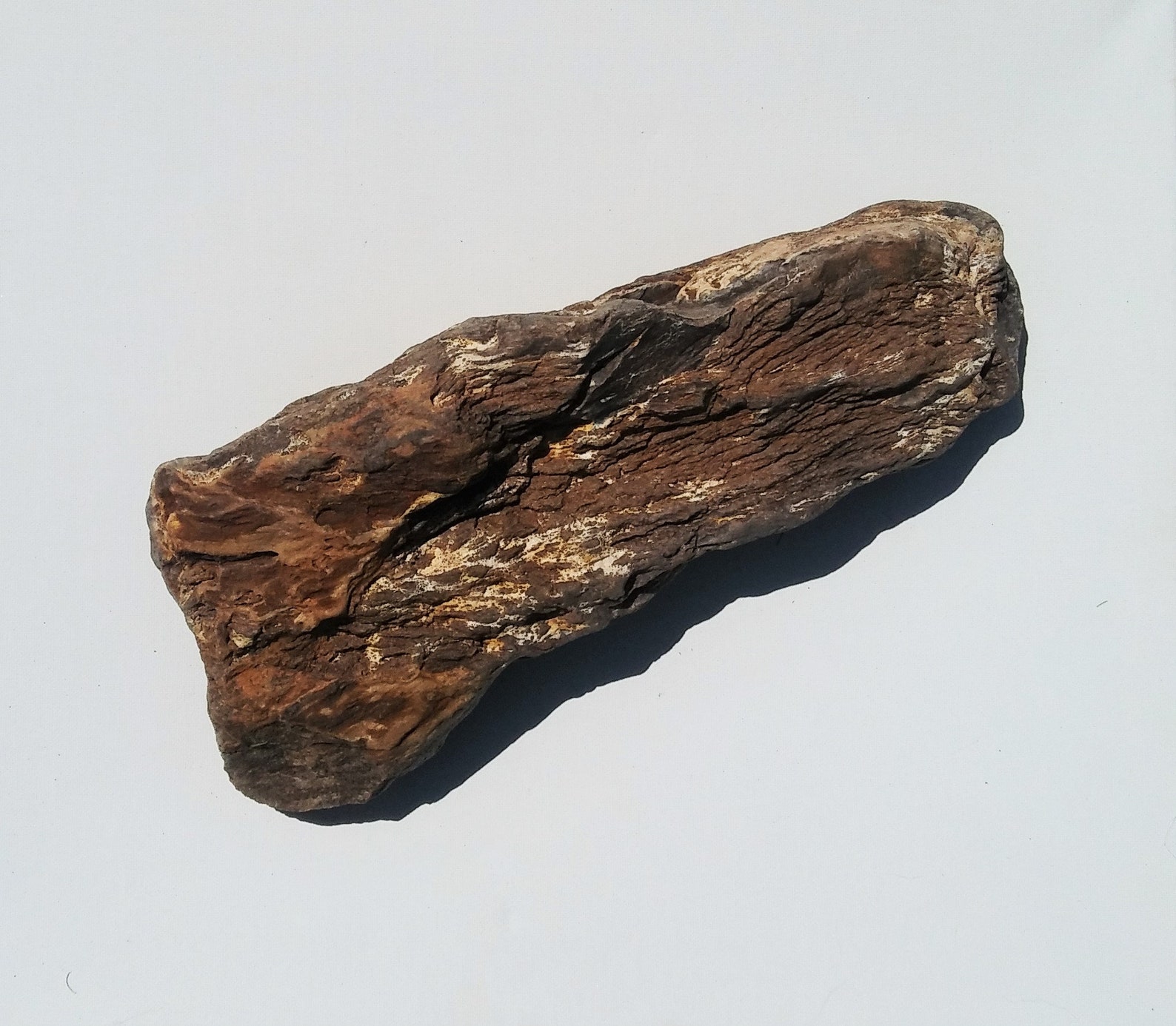 Petrified Wood Aquarium Decor Fish Tank Aquascape Shrimp Etsy