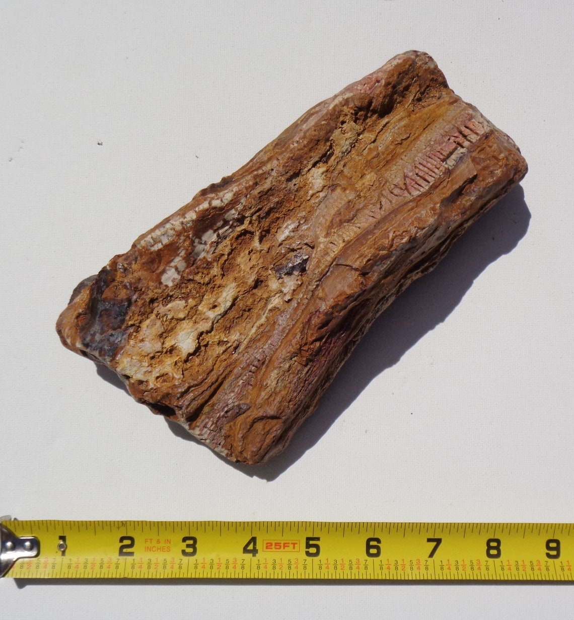 Petrified Wood Aquarium Decor Fish Tank Aquascape Shrimp Etsy