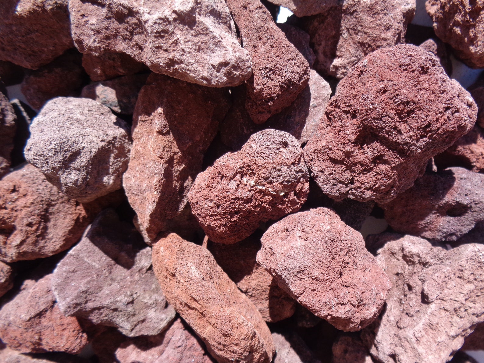 2.5 lb large red lava rock aquarium decor aquascape fish Etsy