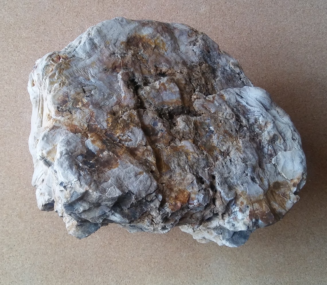 Petrified Wood Aquarium Decor Fish Tank Aquascape Shrimp Etsy UK