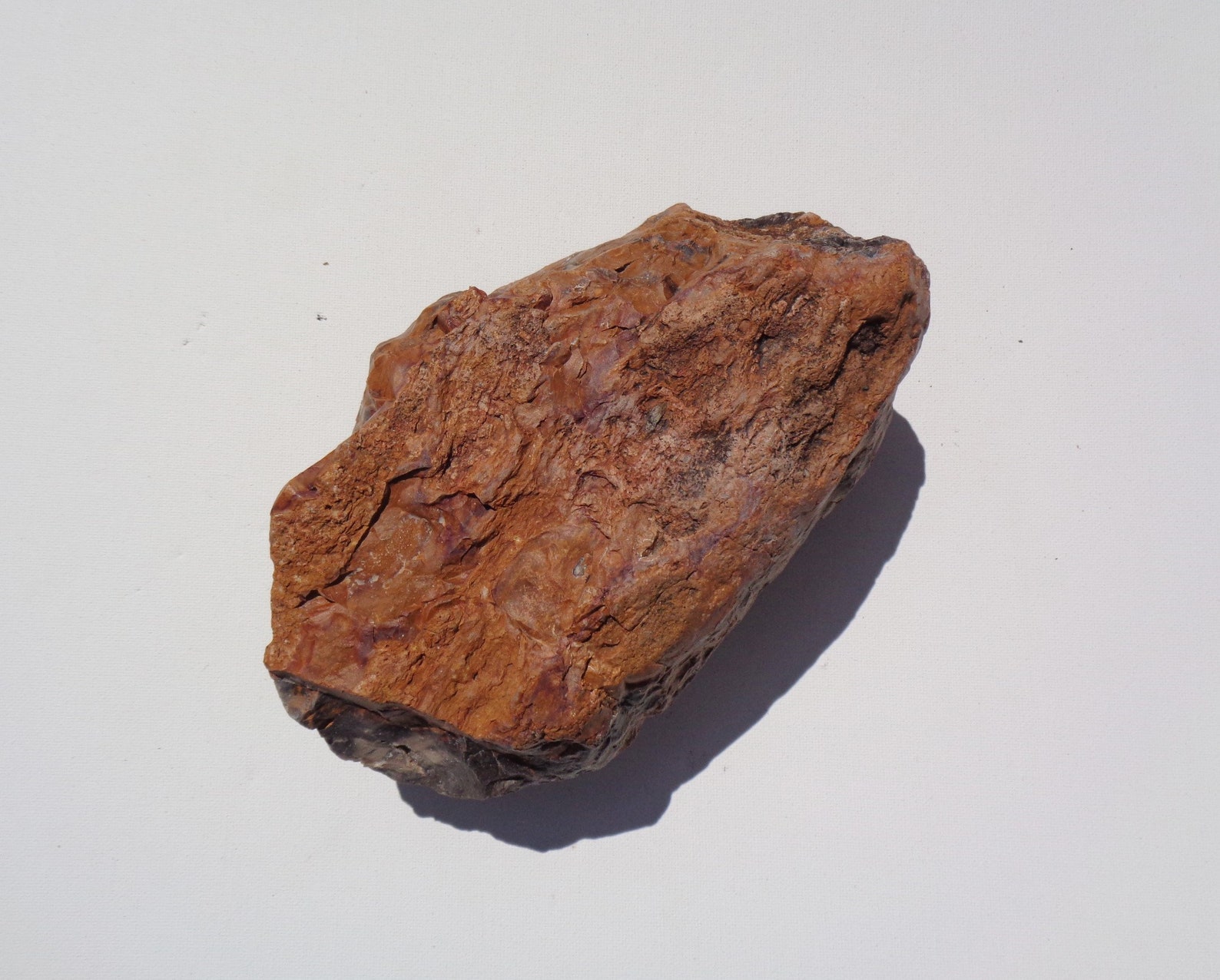 Petrified Wood Aquarium Decor Fish Tank Aquascape Shrimp Etsy