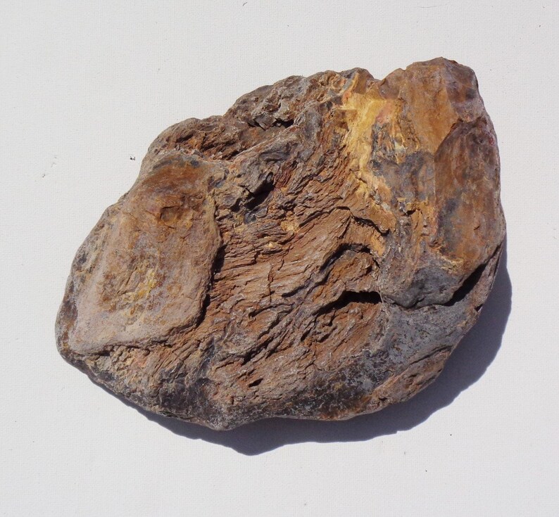 Petrified Wood Aquarium Decor Fish Tank Aquascape Shrimp Etsy